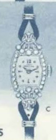 Hamilton Fascination C — original catalog portrait